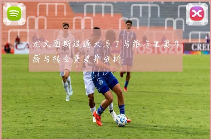 尤文图斯追逐大马丁与维卡里奥年薪与转会费差异分析